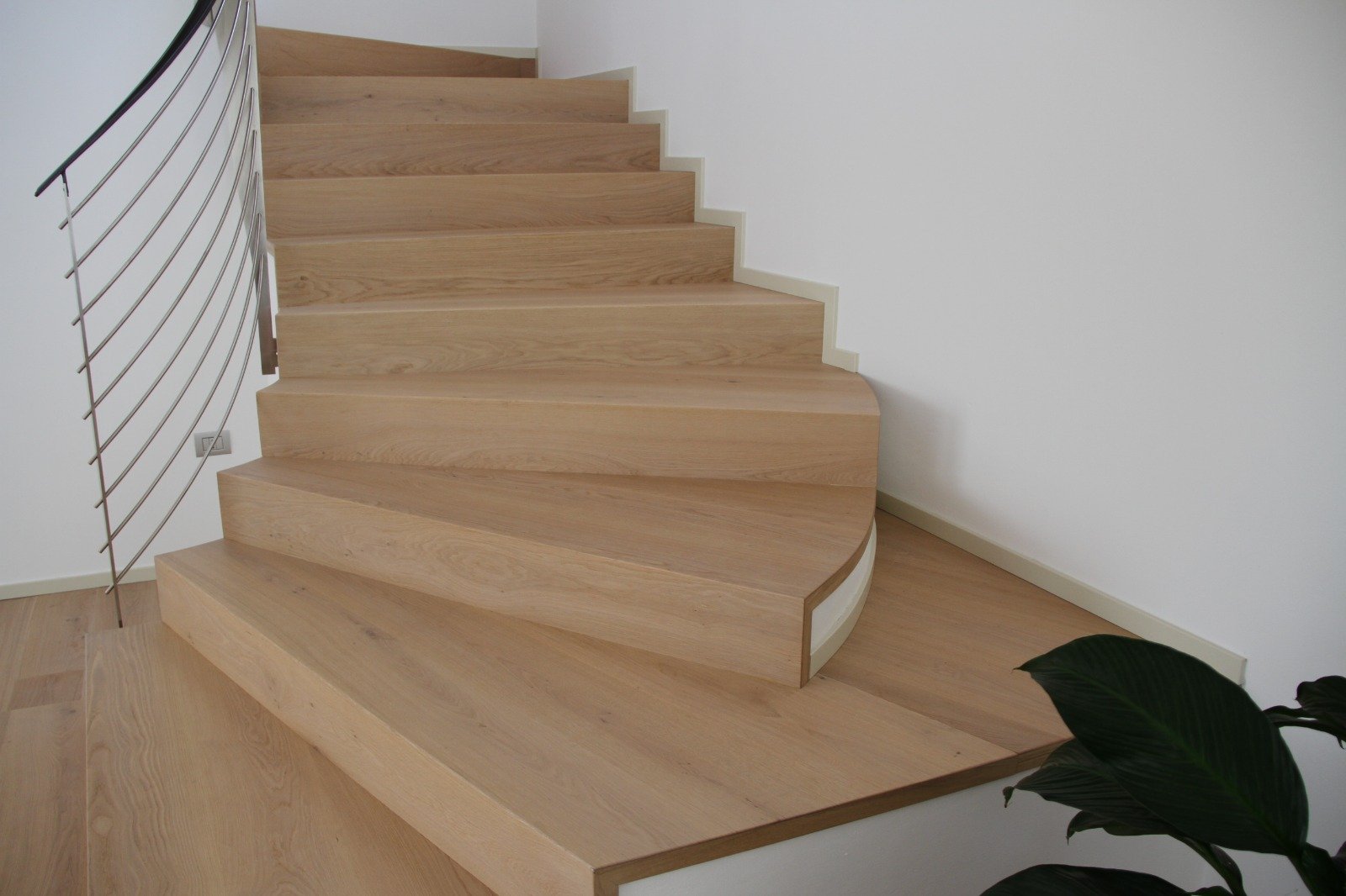 Venisse Collection Item